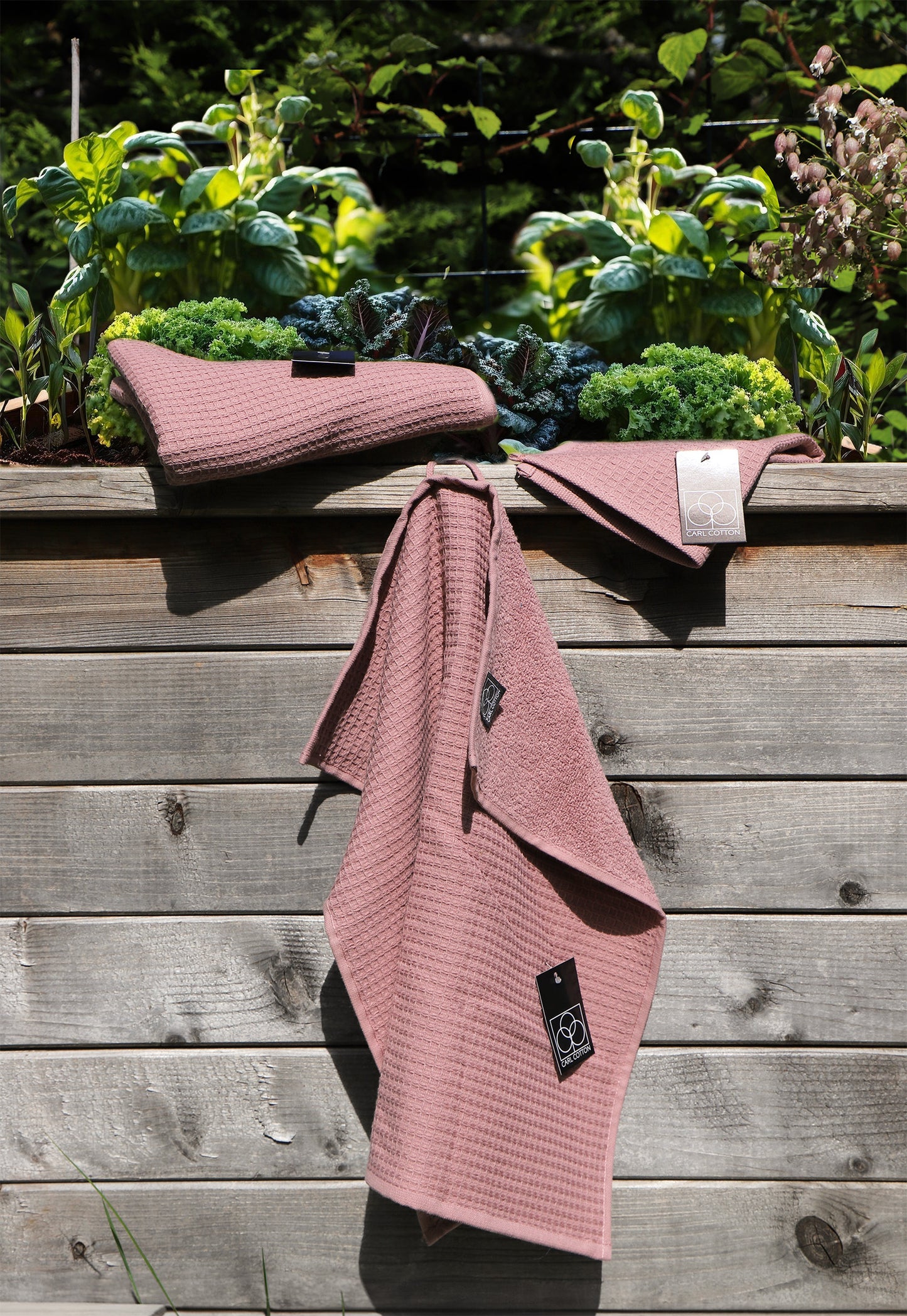 Kitchen towel CARL COTTON waffle piqué rosewood