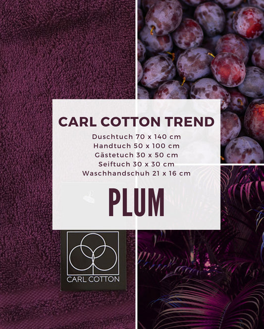 Collage aus Impressionen der Farbe Lila. Passend zum CARL COTTON Handtuch Modell Trend Plum.Mit Groessenangaben 70x140cm, 50x100cm, 30x50cm, 30x30cm, 21x16cm.